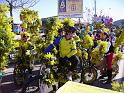 vélo carnavalesque 17